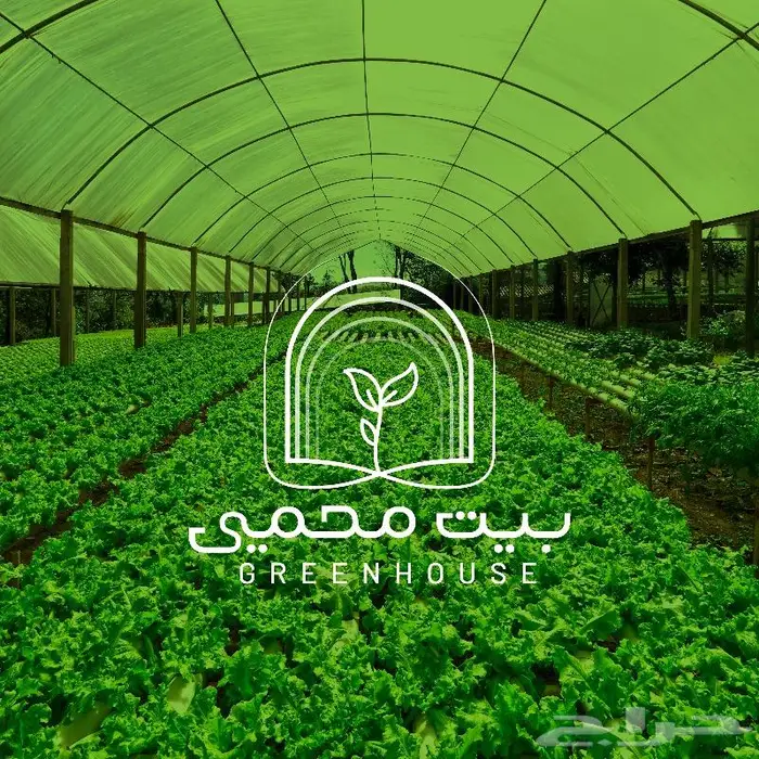 مصمم جرافيك لتصميم الشعارات والهويات البصرية والبروفايل 0
