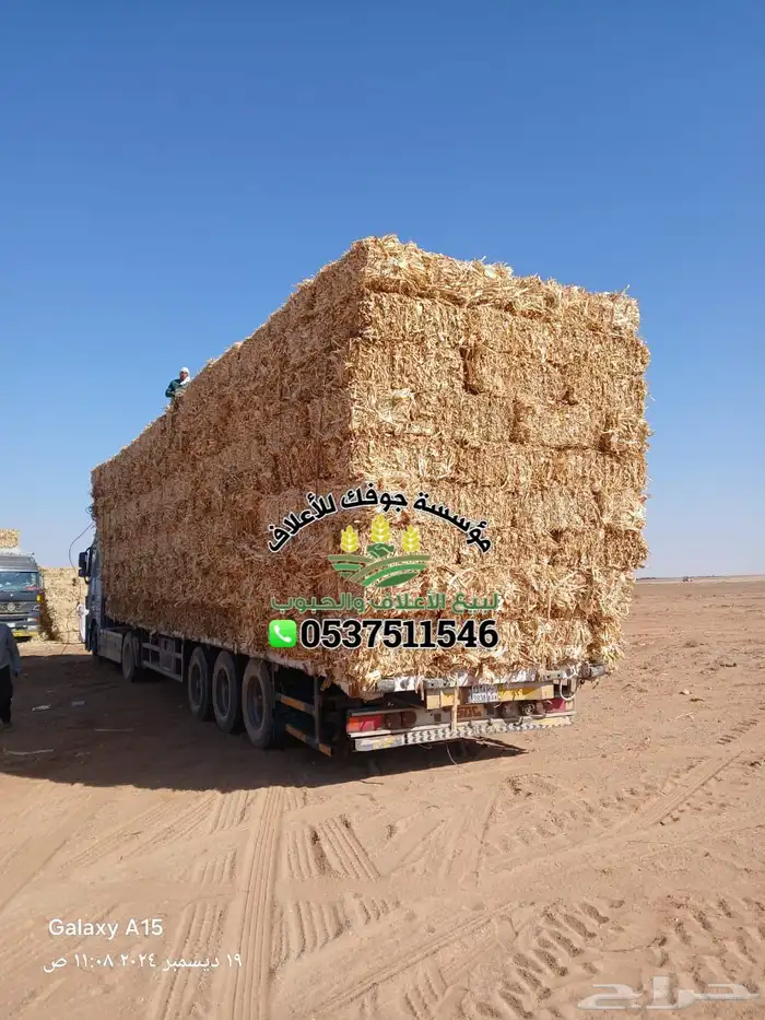 ضيفو سنابي عرض اعلاف بشكل يومي (والدفع عندالاستلام) 11