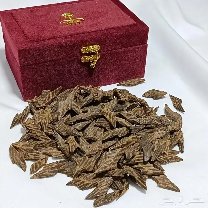 عود بخور كمبودي تايقر فخم 2