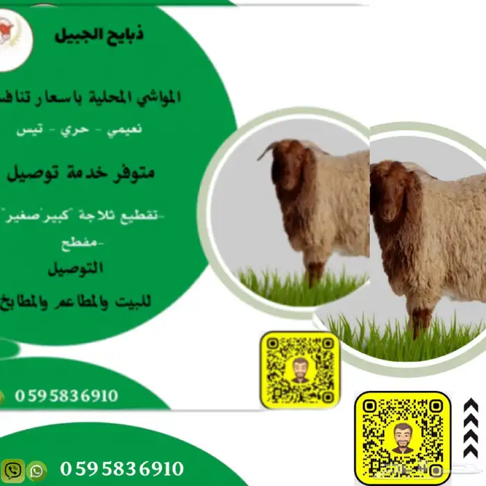 ذبيح الجبيل الصناعيه 0