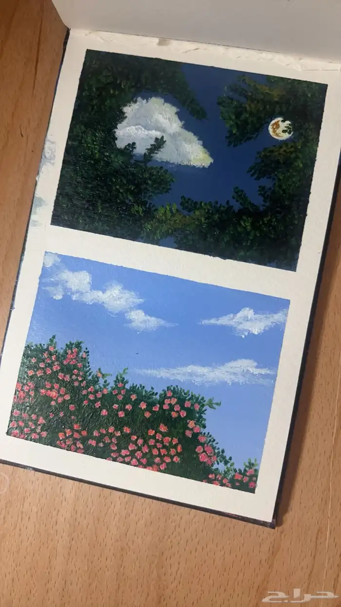 رسم مناظر طبيعيه 3