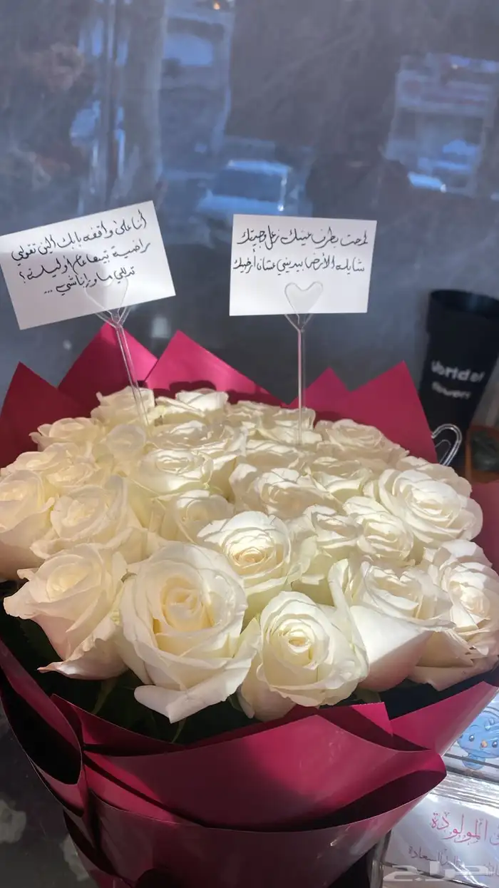 مندوب ورد مكه 7