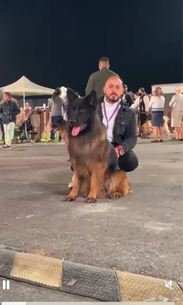 مدرب كلاب 0