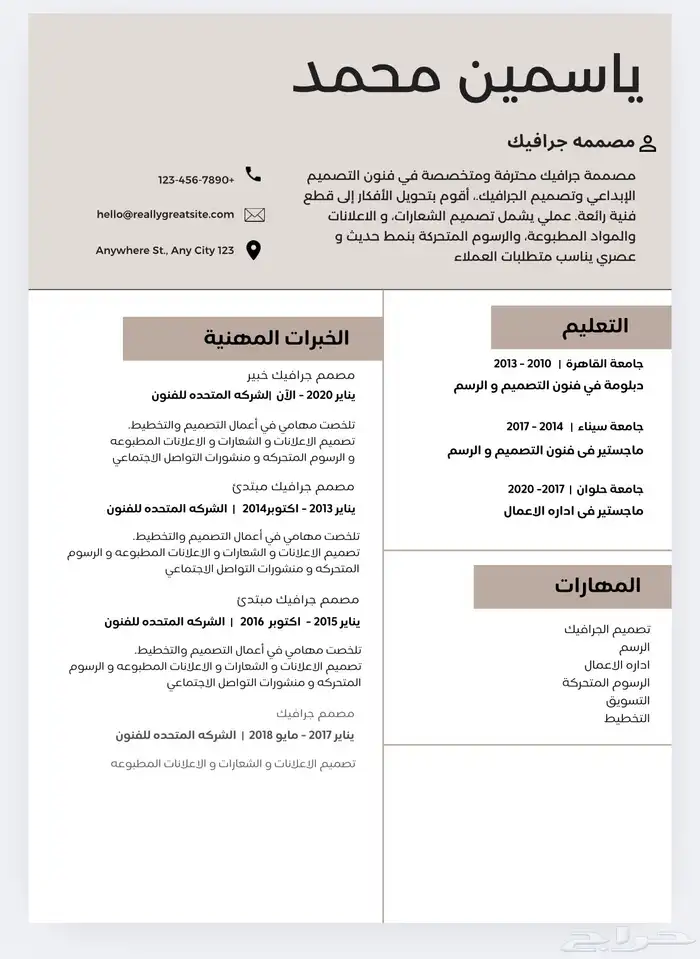 تصميم سيره ذاتيه بشكل احترافي واقل سعر 4