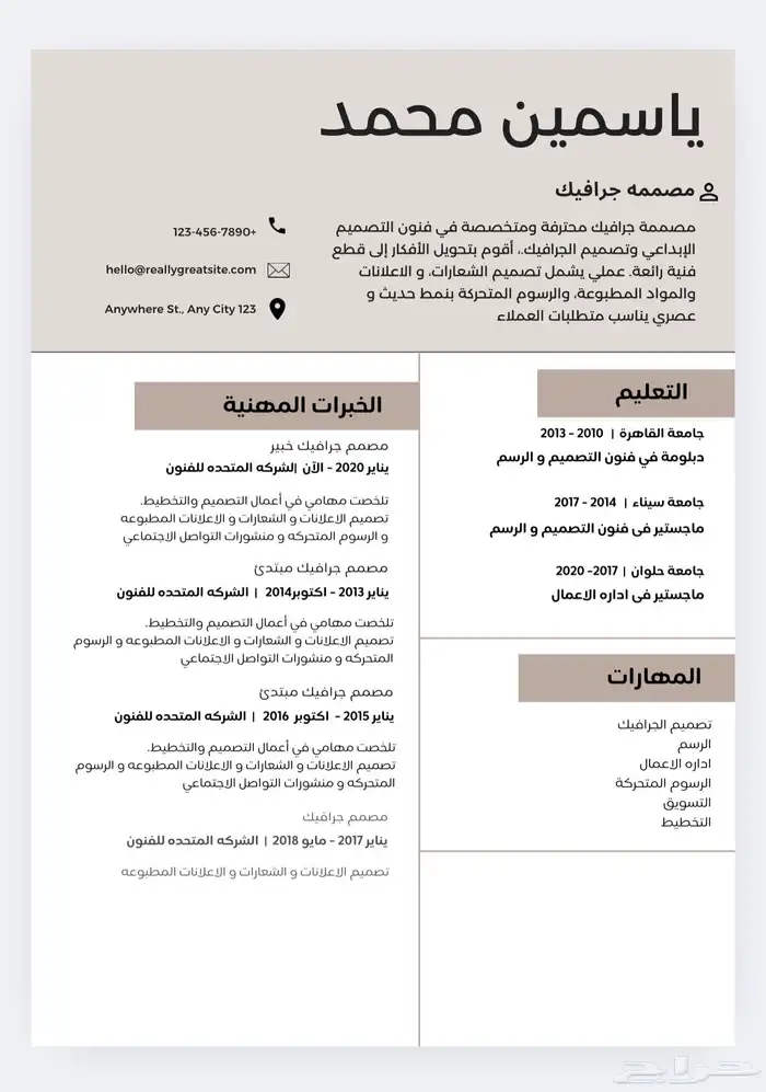 تصميم سيره ذاتيه بشكل احترافي واقل سعر 0