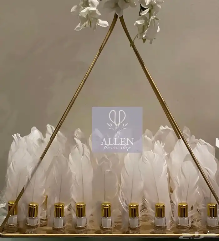 توزيعات مواليد 18