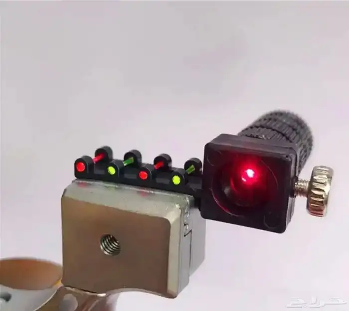 صيد نبيطة 5