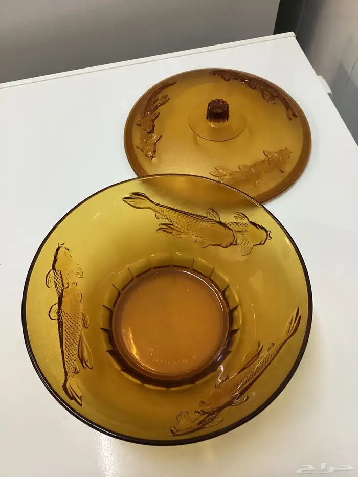 صحون منزليه أستخدمتها بشكل بسيط 1