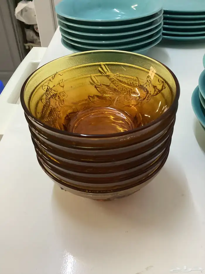 صحون منزليه أستخدمتها بشكل بسيط 0