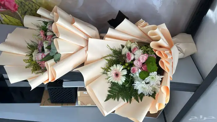 تشريع سيارات عرسان 43