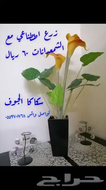 للبيع اشجار زينه وموكيت 5