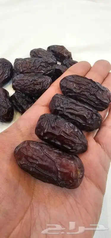 تمور بالجملة عجوة وصفاوي المدينة المنورة 0