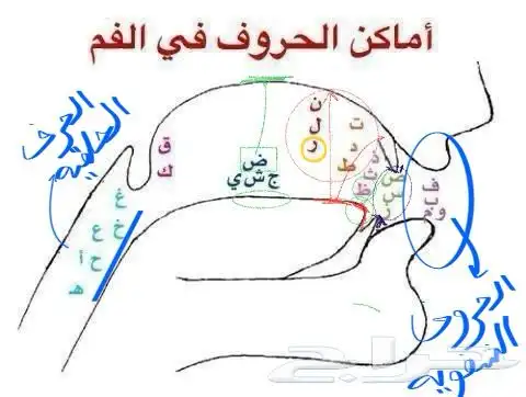 معلمه عن بعد وحضوري متابعة مناهج و دورات و كورسات تأسيس 4