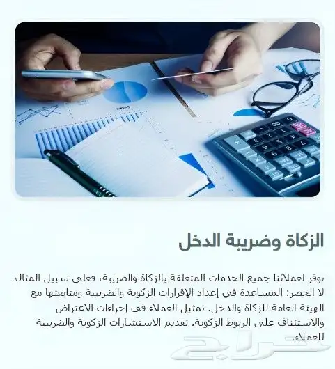 محاسبون ومراجعون قانونيون واستشاريون مهنيون 2