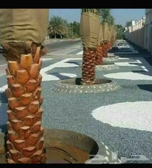 مزراع الغاط الزلفي المجمعه سدير حفر الباطن 7