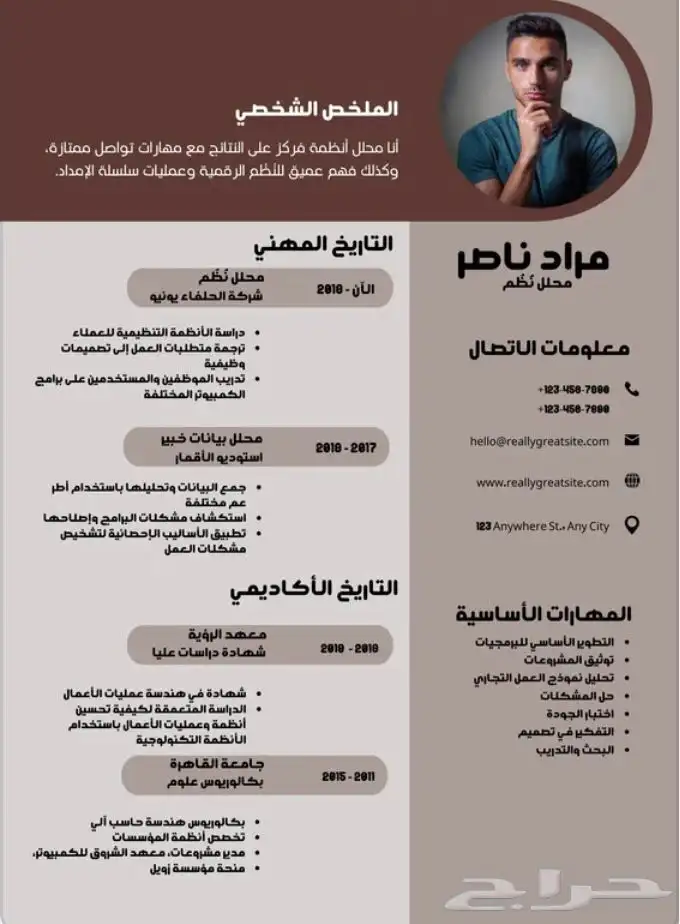 تصميم سيره ذاتيه بشكل احترافي واقل سعر 8