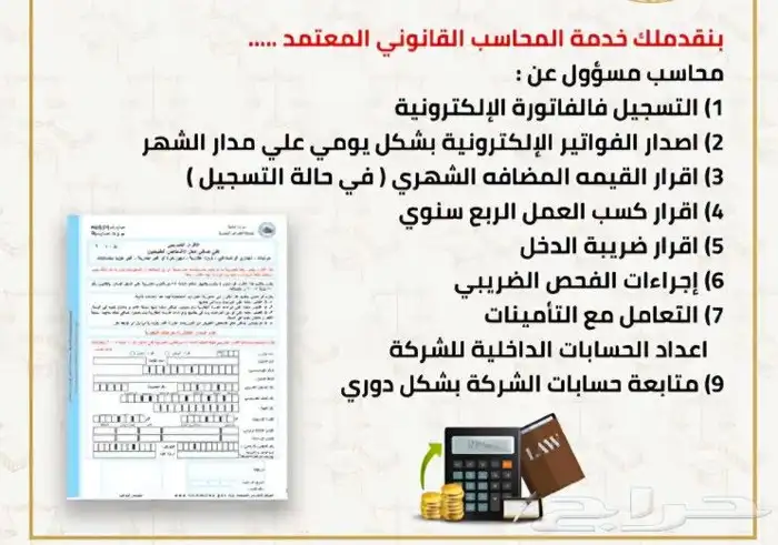 محاسبون ومراجعون قانونيون واستشاريون مهنيون 11