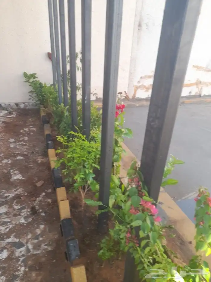 مشتل تنسيق حدائق 7