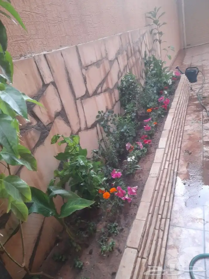 مشتل تنسيق حدائق 2