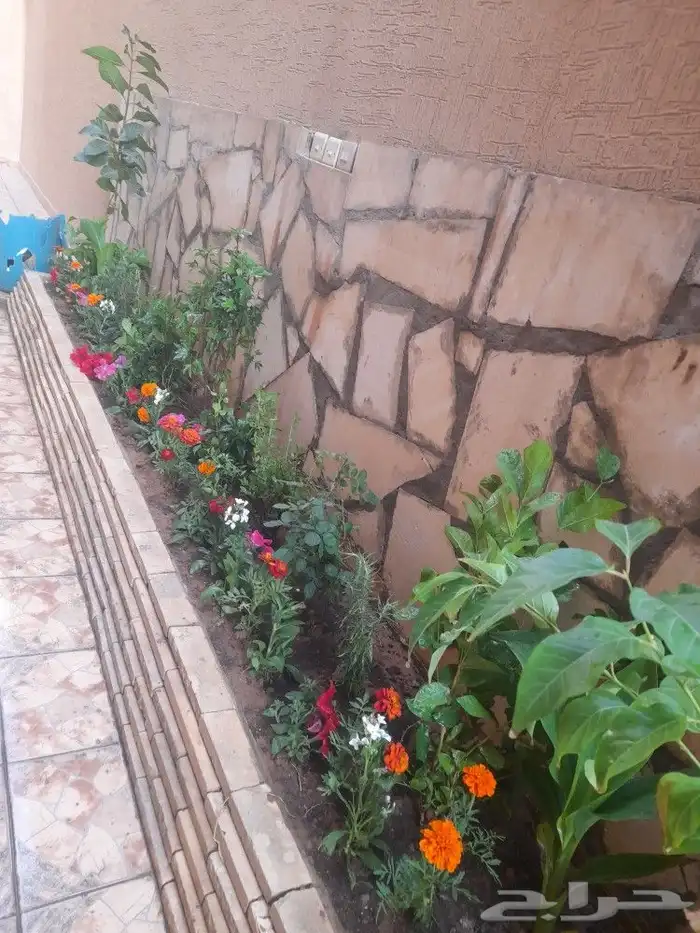 مشتل تنسيق حدائق 0