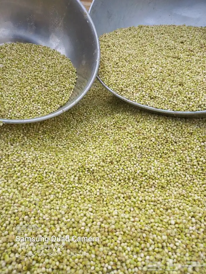 خضير اليوم حب ومطحون يوجد توصيل 1