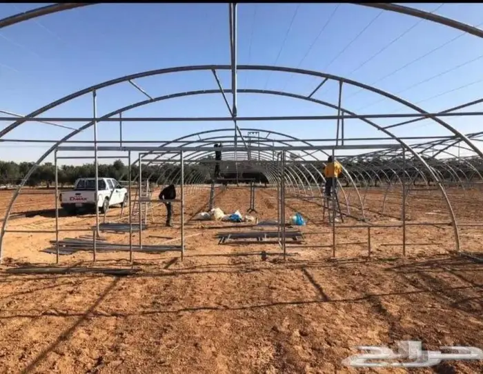 يوجد لدينا بيوت محميه 0