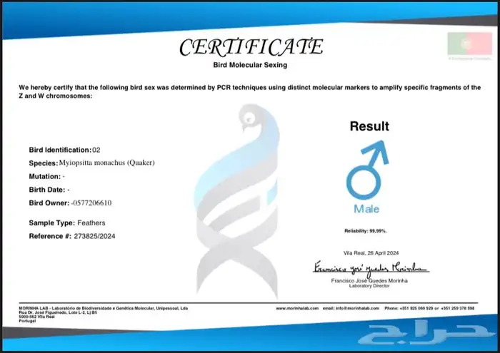 ببغاء كويكر ( تم البيع ) 5