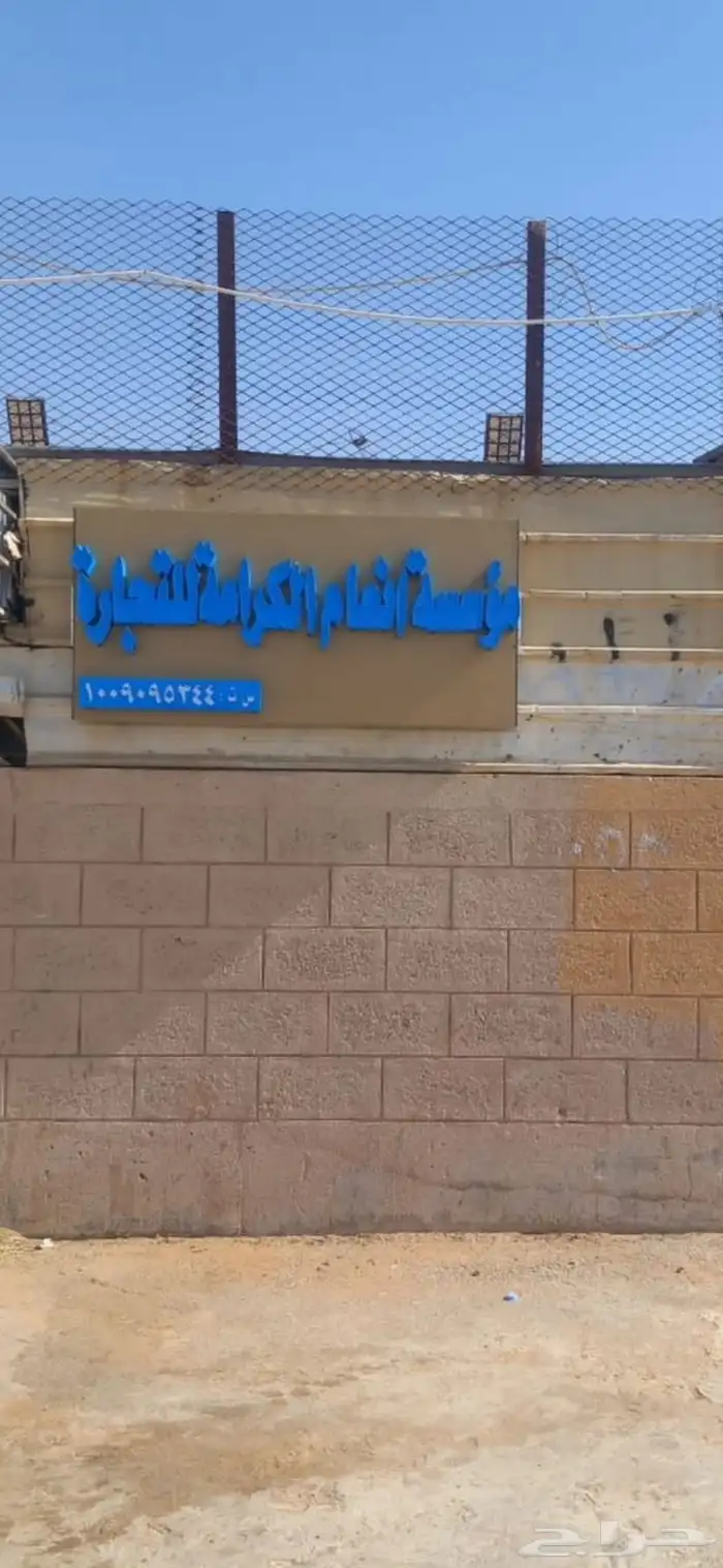 بيع اغنام متوفر تقسيط تابي تقسيط تمارا 1