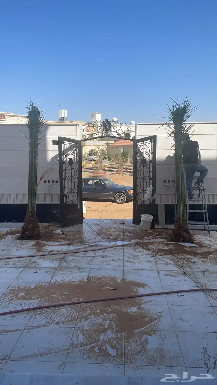 نجيله ثيل طبيعي تنسيق حدائق تبوك 19