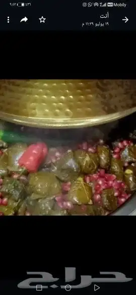 طبخ منزلي بوفيه مفتوح 2