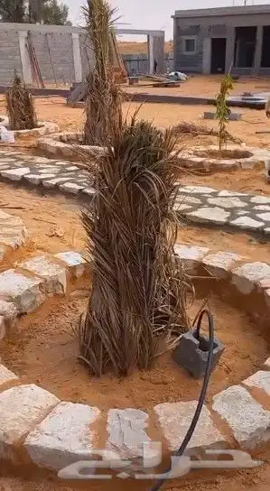 لجميع مقاولات التراث ولحجر والشبوك 1
