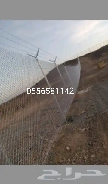 مقول شبوك وبندورات 0