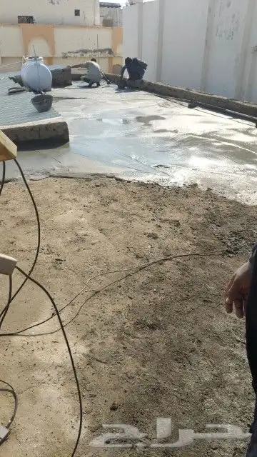 شجر شغل نت نرات تخم ل وتنظ ل   نظاف   انا ابغا شغل 7