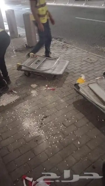 شجر شغل نت نرات تخم ل وتنظ ل   نظاف   انا ابغا شغل 1