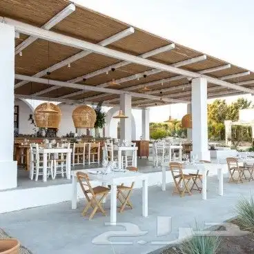 خيزران تراثي الخيزران جلسات خيزران بامبو قش سعف النخيل 0