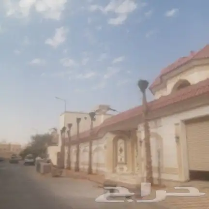 للبيع نخل واشنطن 6