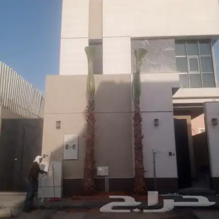 للبيع نخل واشنطن 0