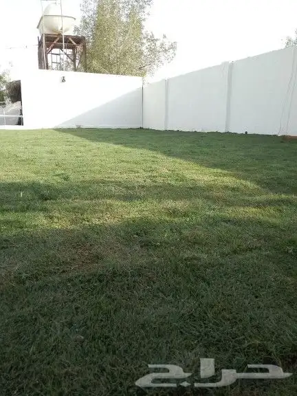 نقوم بزراعة الثيل وزراعة الحدائق 3