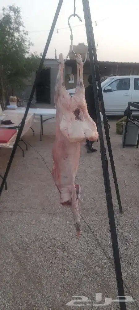 معلم مشاوي خارجيه متنقل نأتيكم اينما كنتم في الرياض وضواحيها 6