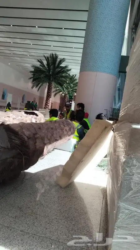 شجر شغل نت نرات تخم ل وتنظ ل   نظاف   انا ابغا شغل 2