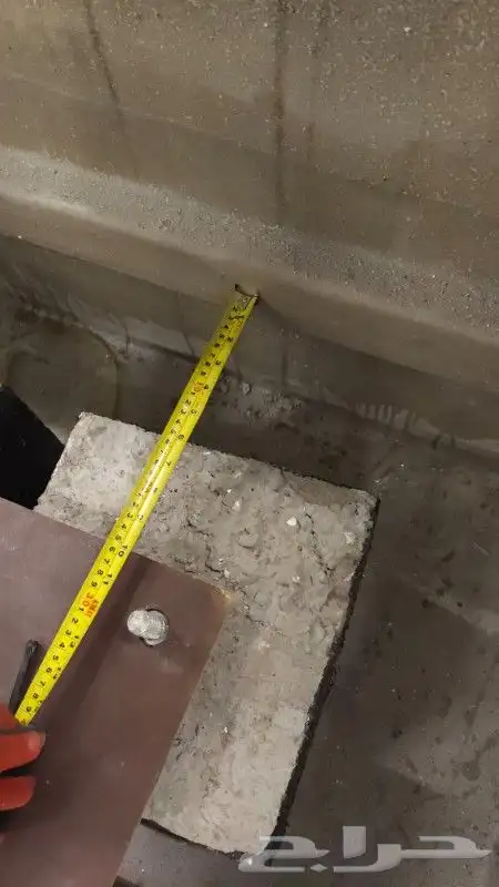 شجر شغل نت نرات تخم ل وتنظ ل   نظاف   انا ابغا شغل 3