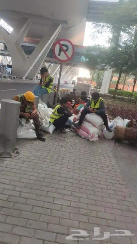 شجر شغل نت نرات تخم ل وتنظ ل   نظاف   انا ابغا شغل 9