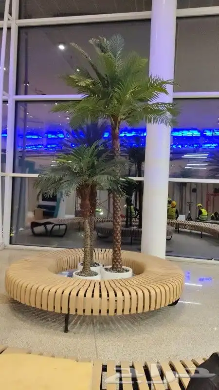 شجر شغل نت نرات تخم ل وتنظ ل   نظاف   انا ابغا شغل 5