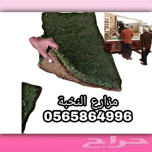 ثيل طبيعي للقصور والإستراحات 1