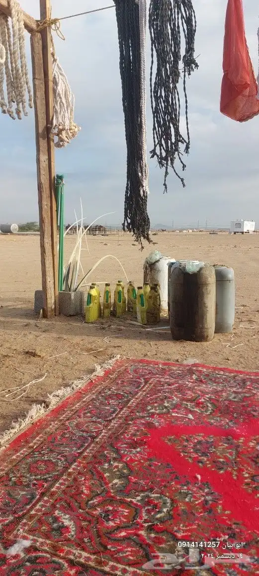 جميع مستلزمات البل شمال جناب اغراض البل شمال جناب قيود شداد 1