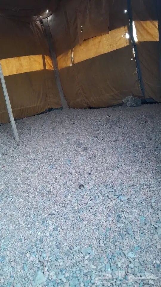 خيمه للبيع 5
