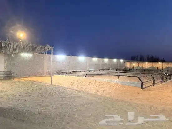 ايوا خيل بأسعار منافسة 11