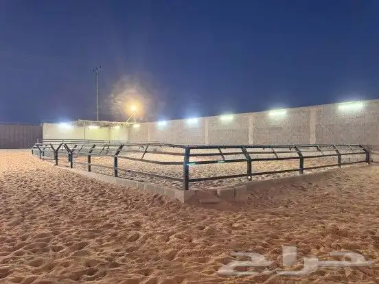 ايوا خيل بأسعار منافسة 6