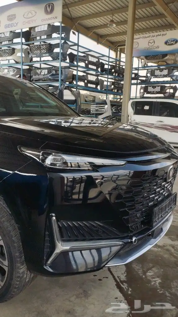 شانجان بجميع أنواعه 2020 إلى 2025 4