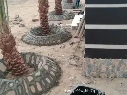 معلم الحجر الطبيعي يوجد في أي مكان في السعوديه وسعار مناسبه 6